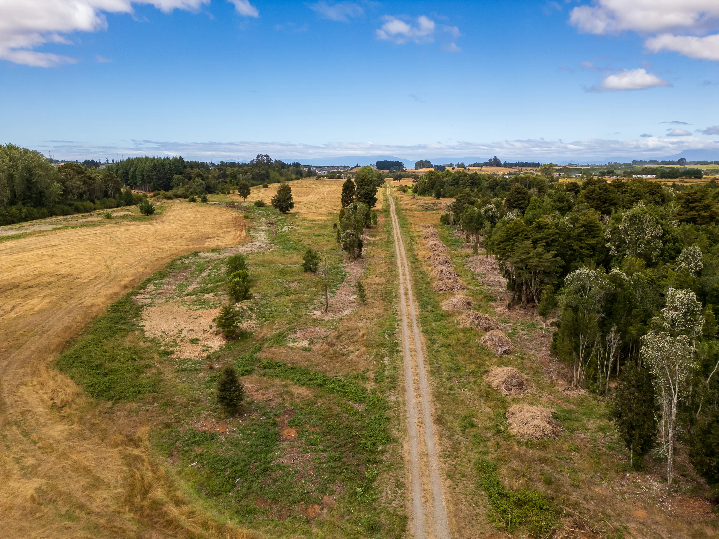 Vista aérea de la parcela Bosque Nativo