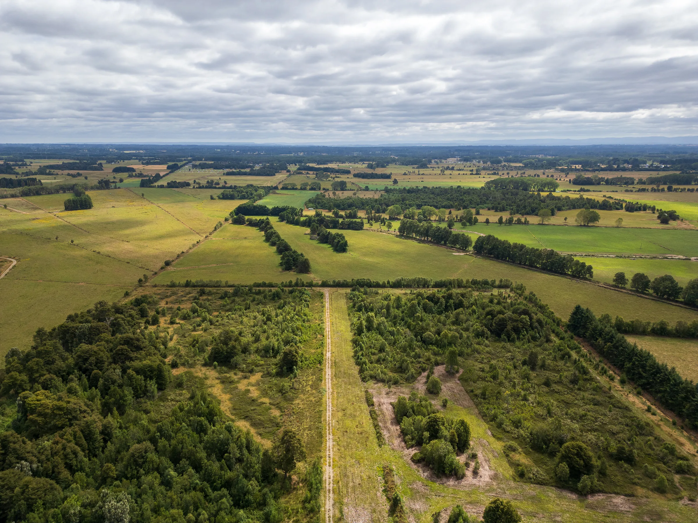 Vista aérea de la parcela Sendero del Bosque