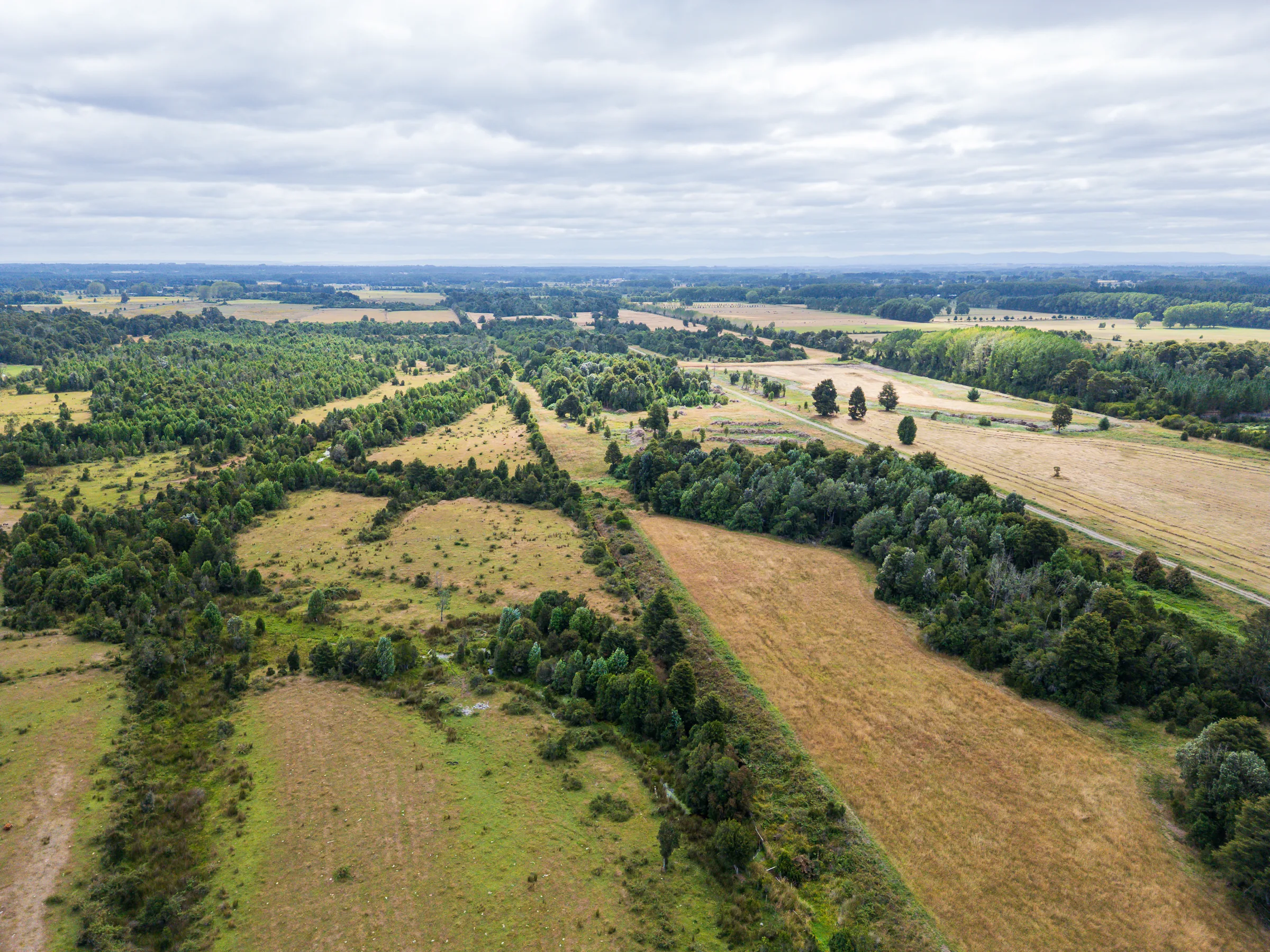 Vista aérea de la parcela Valle Ñadi