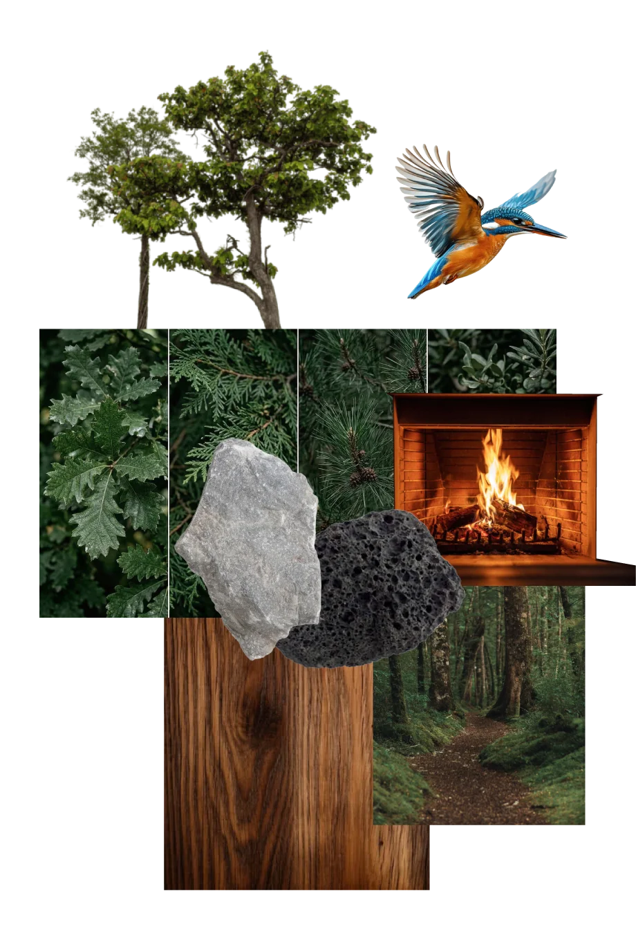 Mood board del proyecto